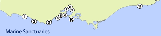 Marine Sanctuaries
