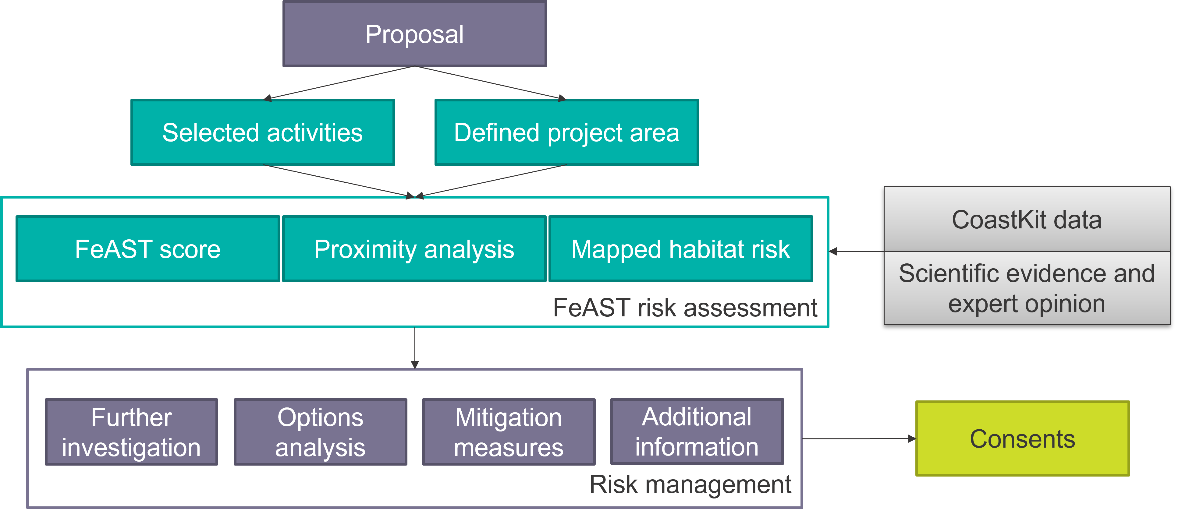 Diagram of the FeAST risk assessment process with inputs and outputs