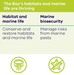 Image displaying the Habitats and Marine life goal, priority areas and strategies