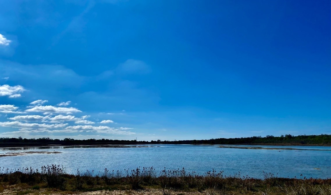 Image from the Lake Reeve Islands overlooking the wetlands of Lake Reeve
