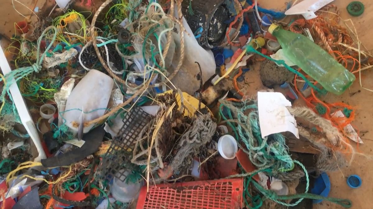 bunch of litter found on the beach