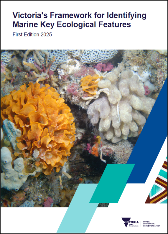 KEF report front cover