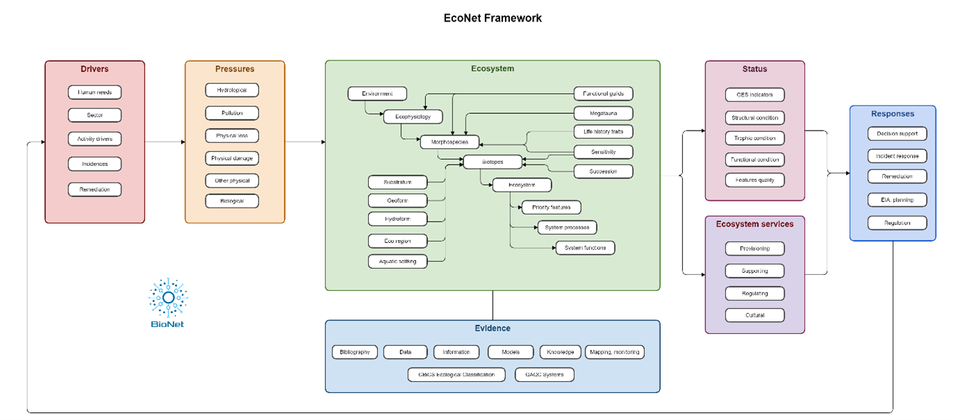 Flow diagram showing the compartments involved in the Econet framework.