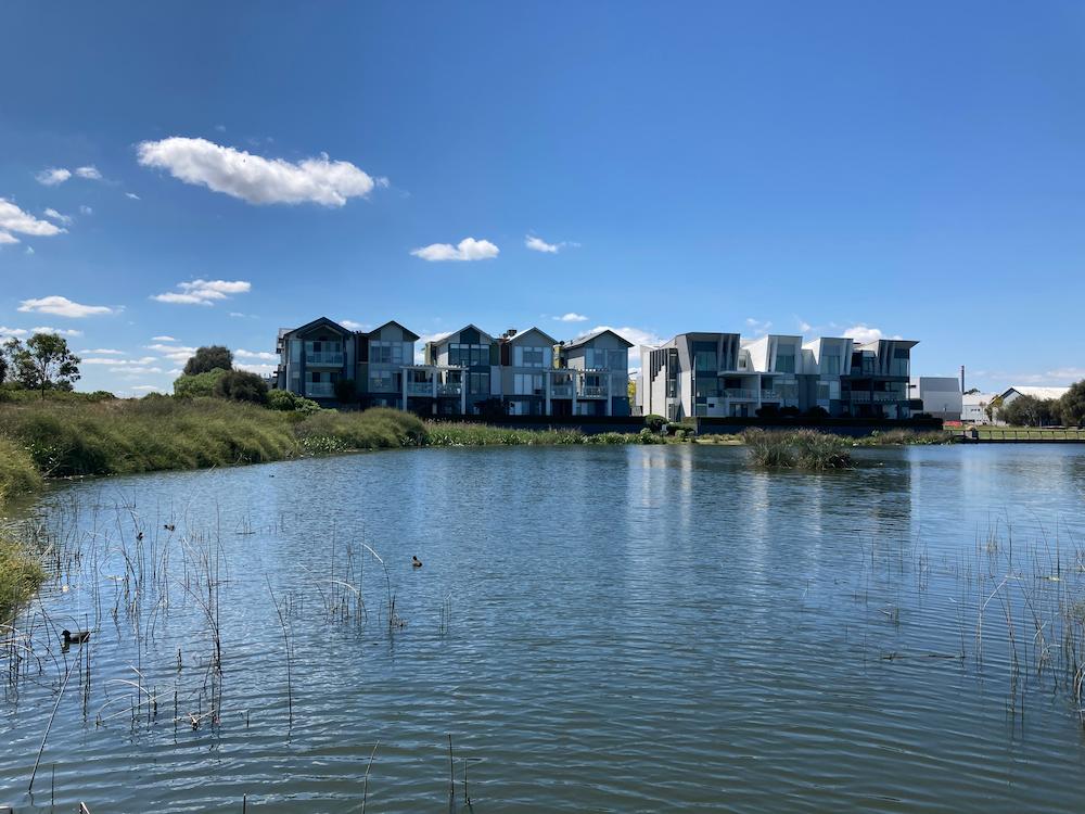 A row of modern two-storey houses overlooking a lagoon at Cheetham wetlands. There is a duck sitting on the water and the sky is blue.