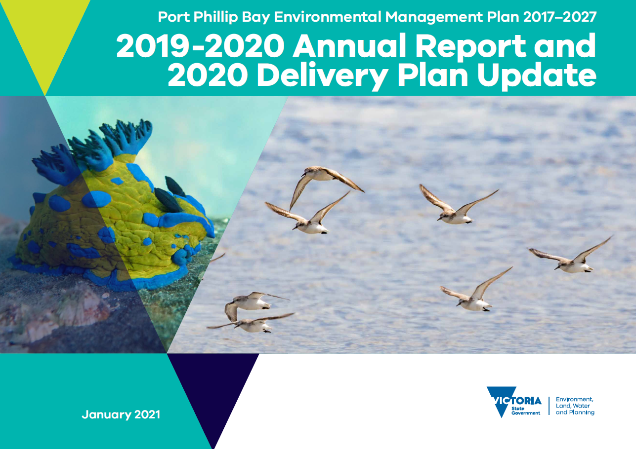 The cover page of the 2019-2020 Annual Report and 2020 Delivery Plan Update