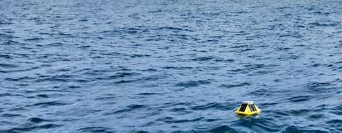 Wave buoy floating in the ocean