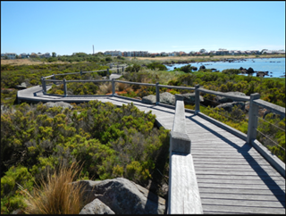 Boardwalk at Jawbone Flora and Fauna Reserve and Marine Sanctuary