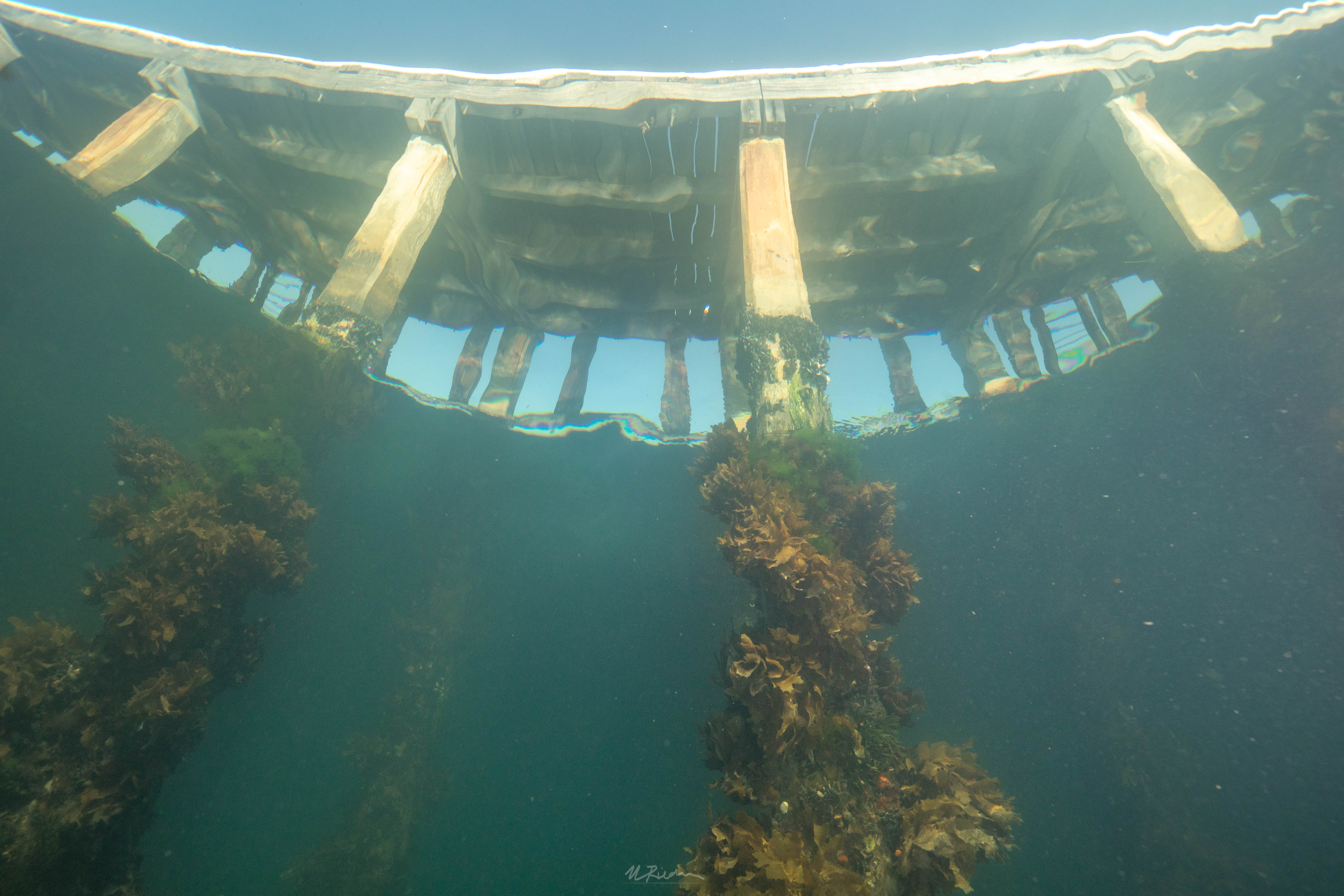 Phot underwater looking up at a pier or jetty.