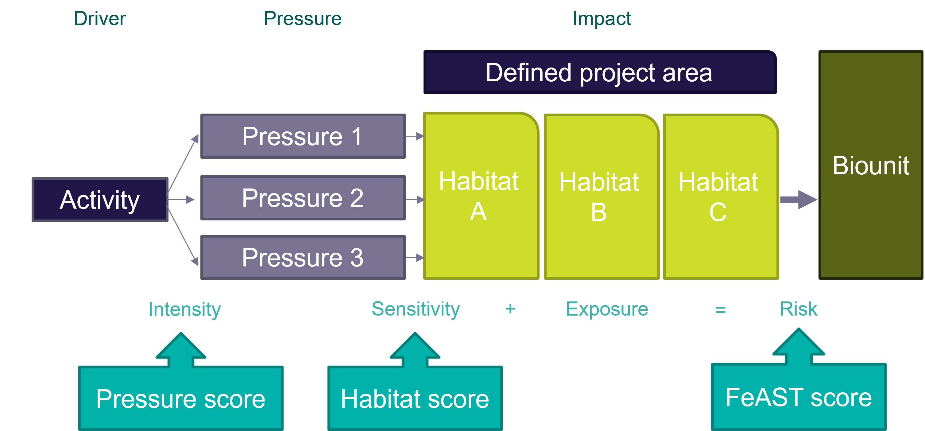 Diagram of the key components of the FeAST assessment process showing the three scores generated