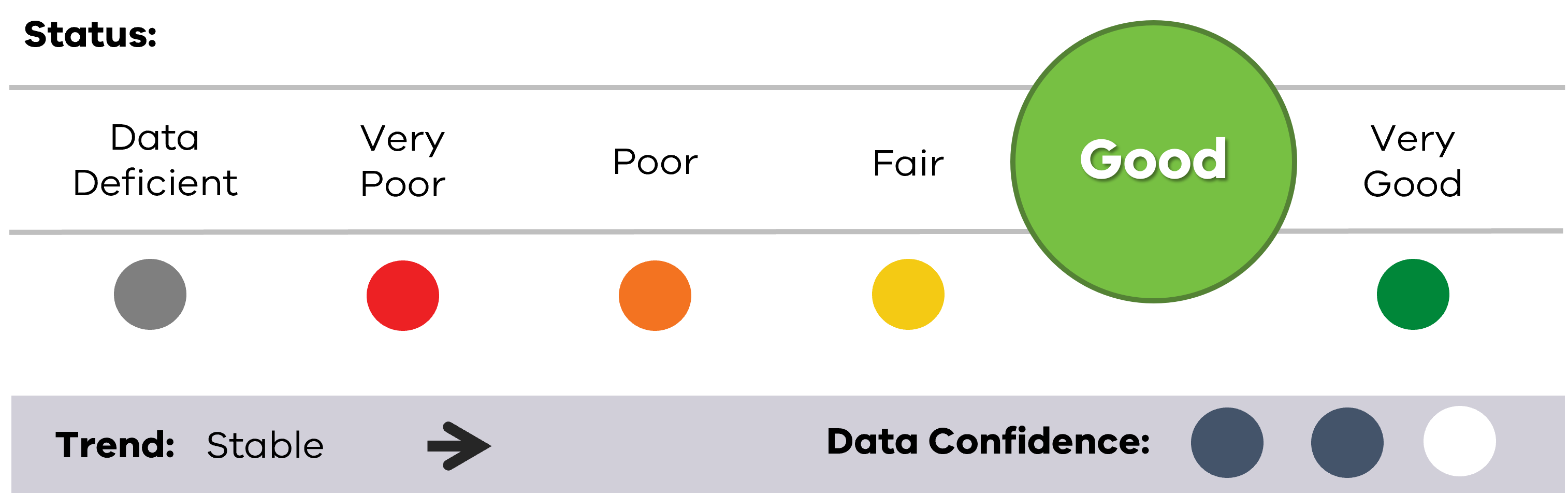 Results from the 2022-23 analysis showing a good status for chlorophyll a maintaining a stable trend and data confidence of medium