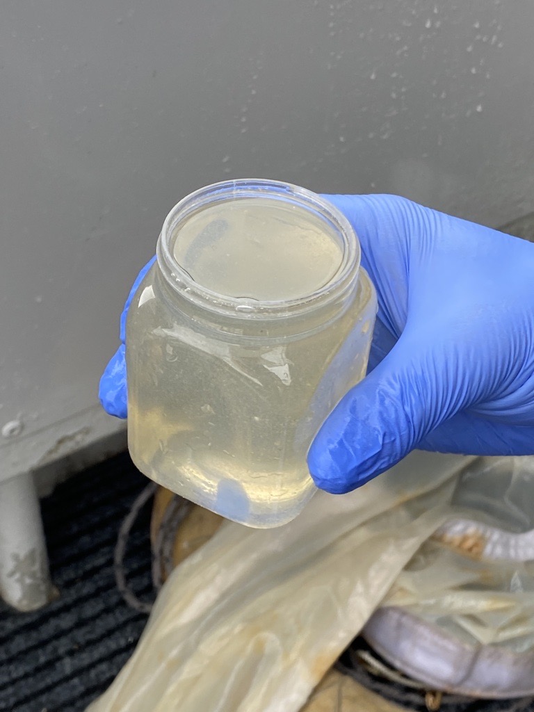 Image of hand showing a container of water.