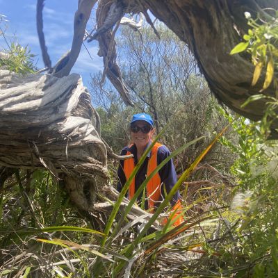 A person in an orange vest and blue hat standing in vegetation.