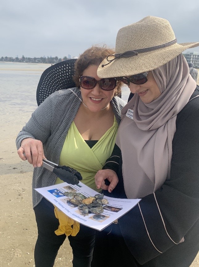 Two people identifying gastropod samples they hae collected from Port Philip Bay