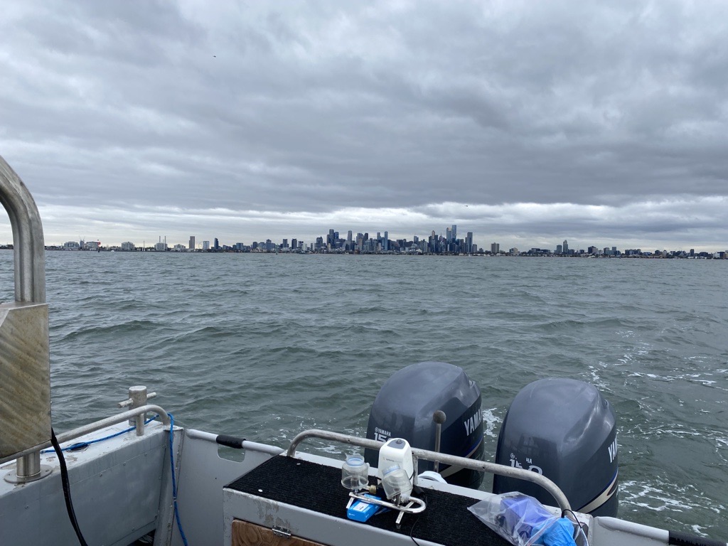 Photo of Melbourne in the distance taken from a boat in Port Phillip Bay.