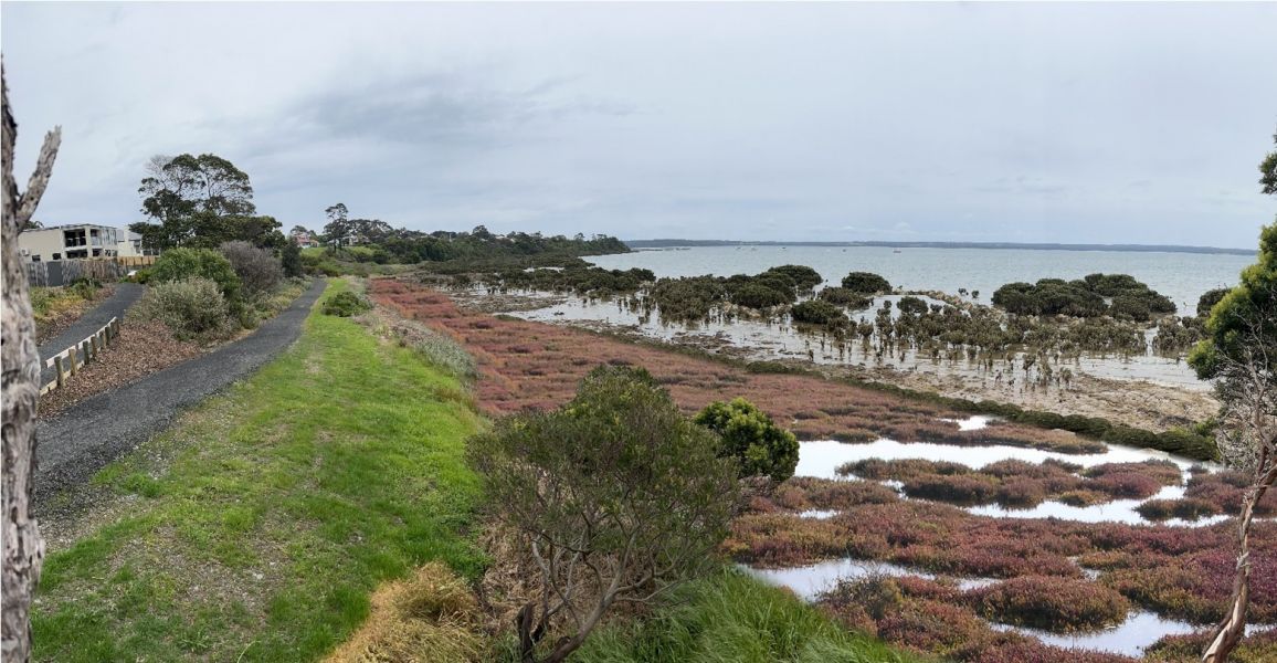 A track or road running alongside water and saltmarsh. 