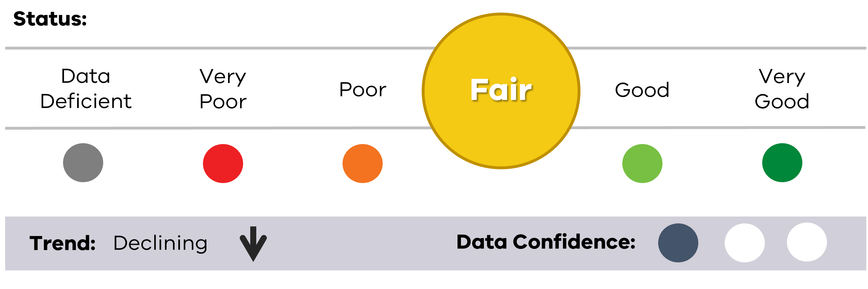 Image of status for Reef Invertebrates, showing Fair result, Declining trend and low data confidence.