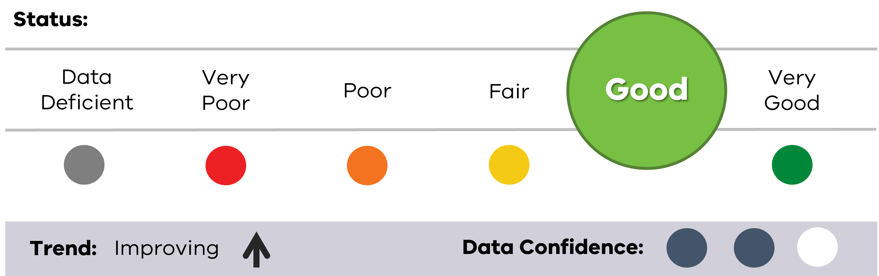 Image of status for Marine Mammals, showing Good result, Improving trend and medium data confidence.