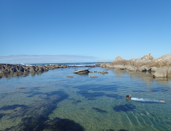 Image of a snorkeler in clear water with rocks surrounding the edges