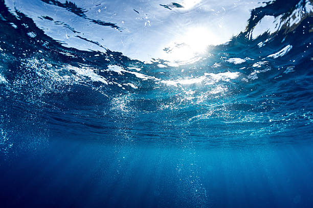 Underwater photo of pristine looking water.