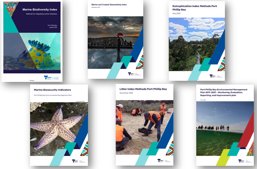 Image shows covers of the 6 index documents; marine biodiversity, marine and coastal stewardship, eutrophication, marine biosecurity, litter and the PPB EMP MERI document