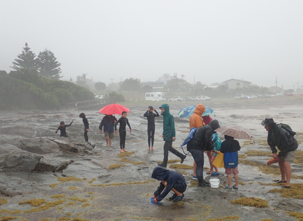 Image of volunteers standing and crouching on a shoreline with umbrellas in the rain