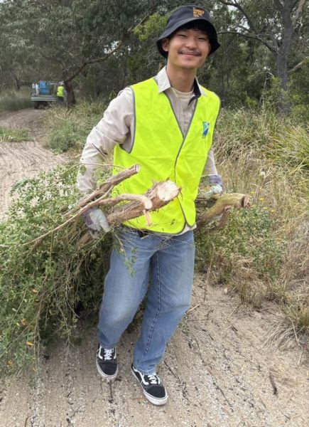 A person carrying a bundle of branches wearing a yellow high vis vest.