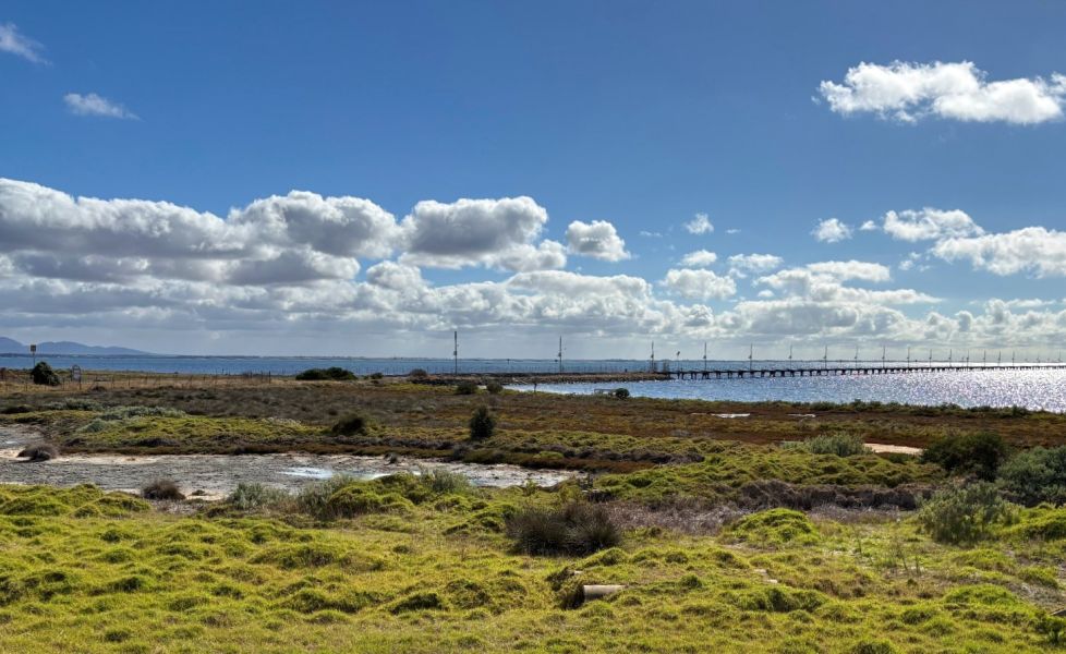 A view of the wetland areas and the Point Henry pier, and across Corio Bay toward the You Yangs.