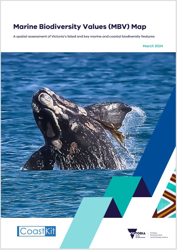 Cover of MBV Report with a whale 