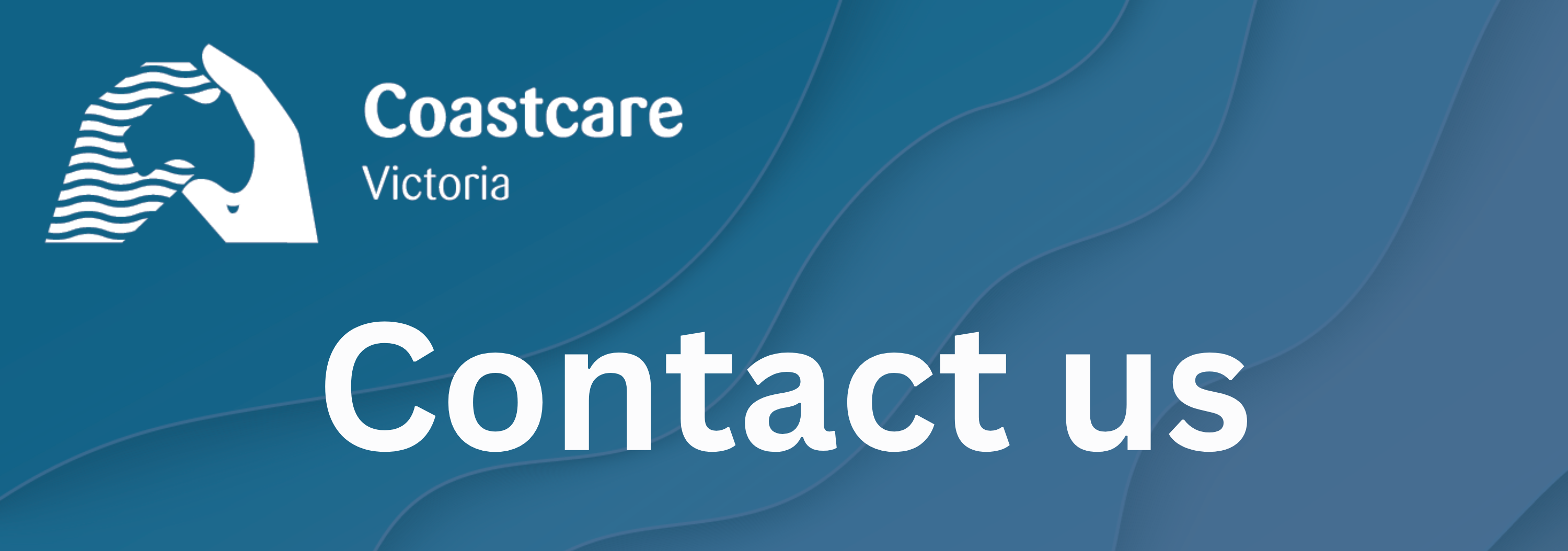 Contact us