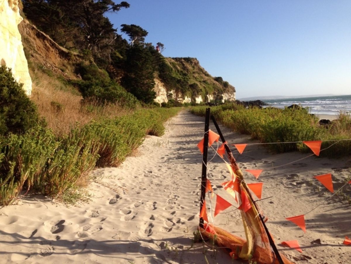 Orange flags in the foreground, sandy path with footprints. Path is besides a grass cliff and leads towards the ocean