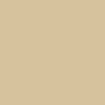 beige colour for key