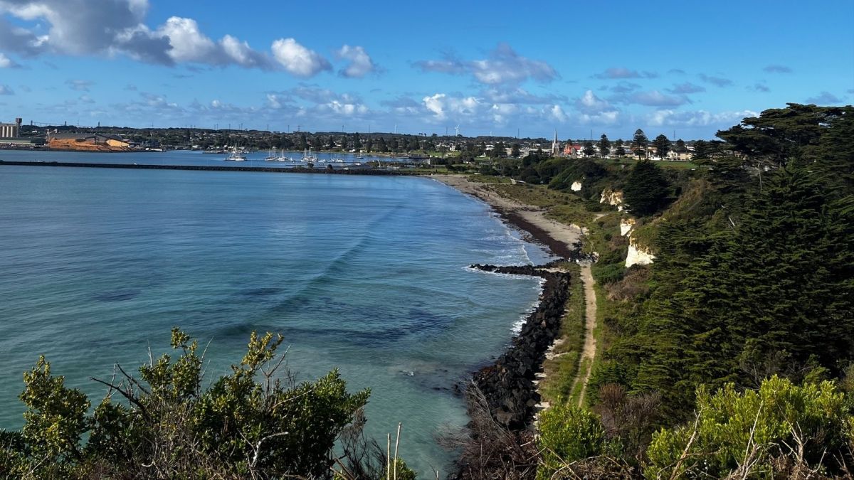 Two thirds of the image is ocean water, a jetty and boats and houses in the background. To the right of the image a large green tree and green cliff face