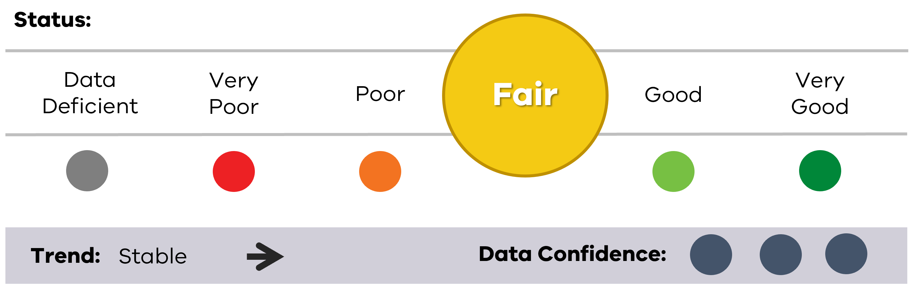  Image of status for Australasian gannet, showing Fair result, Stable trend and High data confidence.