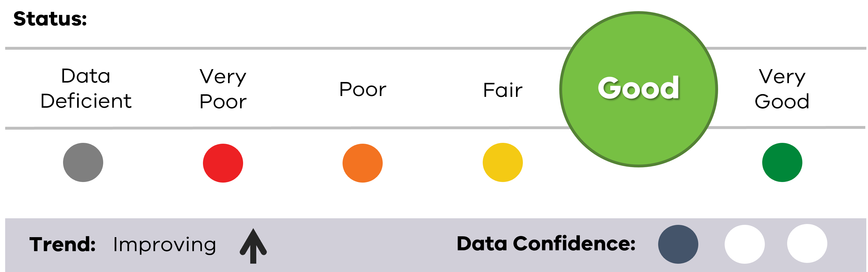 Image of status for Burrunan Dolphin, showing Good result, Improving trend and low data confidence.