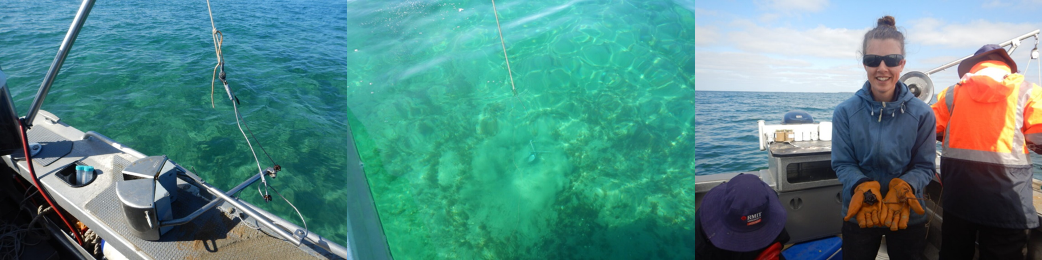 Left: Close up view of a metal grab sampler used to collect benthic samples; Middle: A grab sampler collecting a sample under the water, a cloud of sediment appears around sampler; Right: A person wearing gloves holds a benthic sample in their hands, a person is behind collecting another sample.