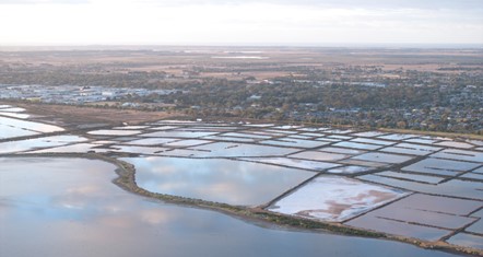 Aerial1