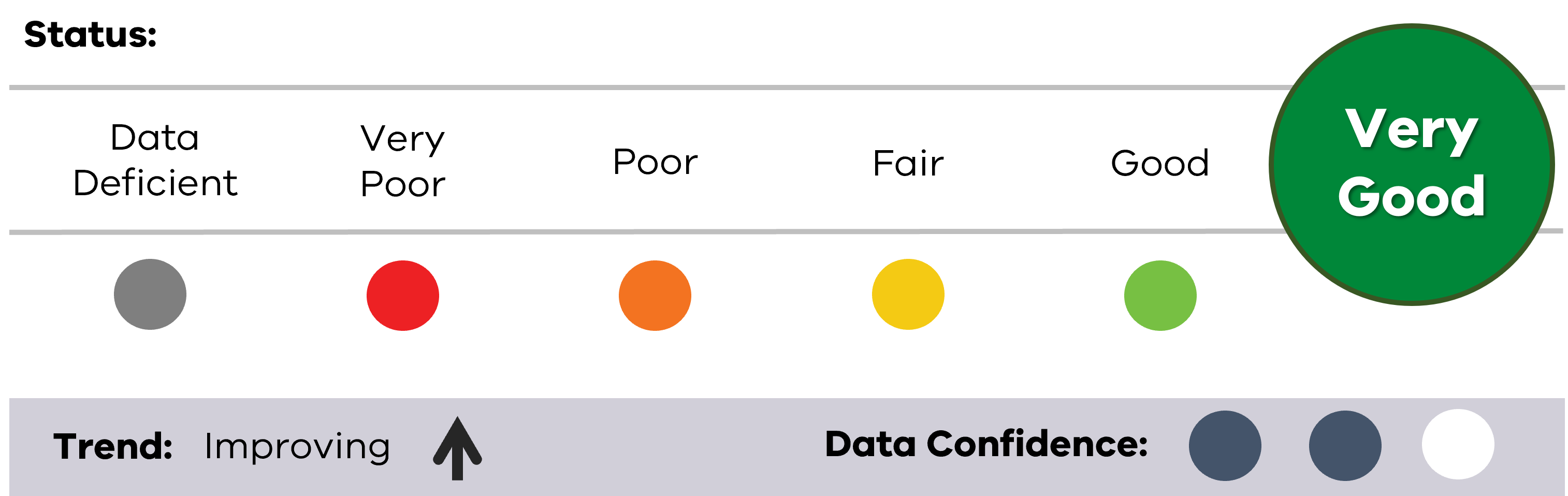 Results from the 2023-24 analysis showing a very good status for chlorophyll a with an improving trend and data confidence of medium