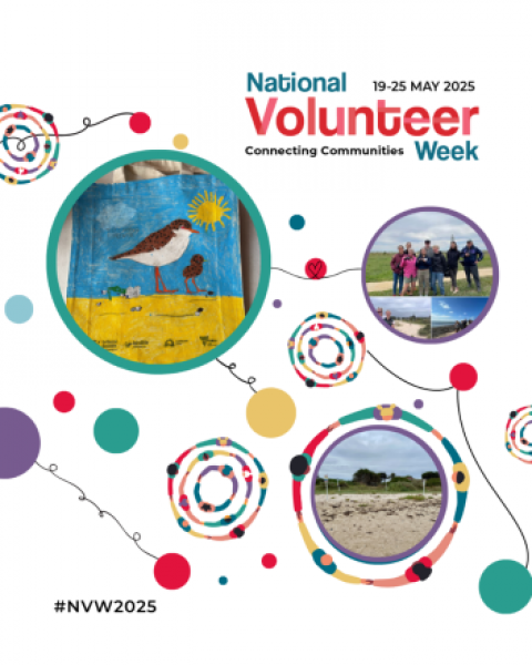 National Volunteer Week poster 