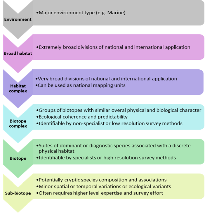 Six coloured boxes with title and explanatory text in a hierarchy. Top title "Marine" explanatory text is "Marine environment type (e.g. Marine)". Second title "Broad habitat", explanatory text is "Extremely broad divisions of national and international application". Third title "Habitat complex", explanatory text "Very broad divisions of national and international application. Can be used as national mapping units". Fourth box title "Biotope complex", explanatory text "Groups of biotopes with similar overall physical and biological character. Ecological coherence and predictability. Identifiable by non-specialist or low resolution survey methods". Fifth box title "Biotope", explanatory text "Suites of dominant or diagnostic species associated with a discrete physical habitat. Identifiable by specialists or high resolution survey methods". Sixth box title "Sub-biotope", explanatory text "Potentially cryptic species composition and associations. Minor spatial or temporal variations or ecological variants. Often requires higher level expertise and survey effort".