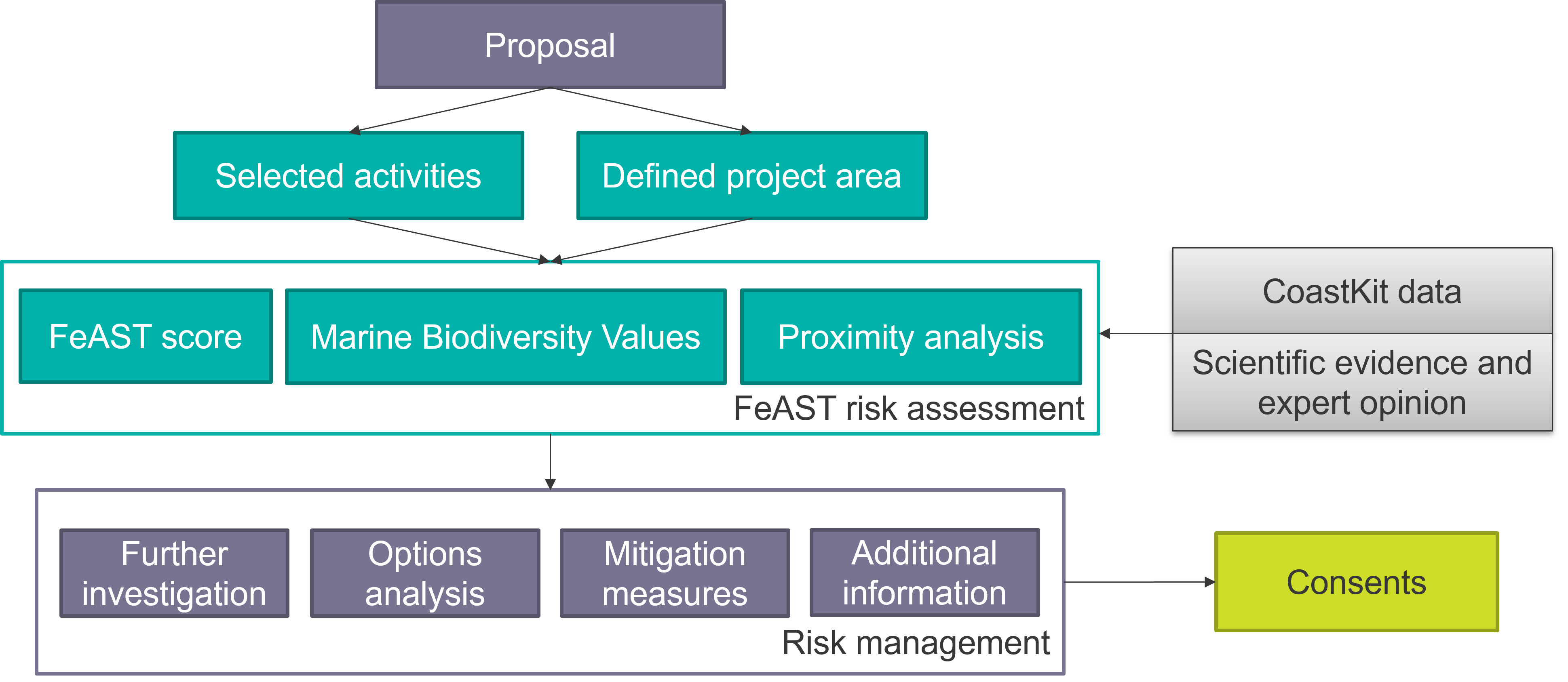 Diagram of the FeAST risk assessment process with inputs and outputs
