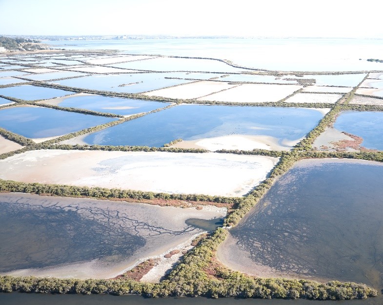 Aerial3