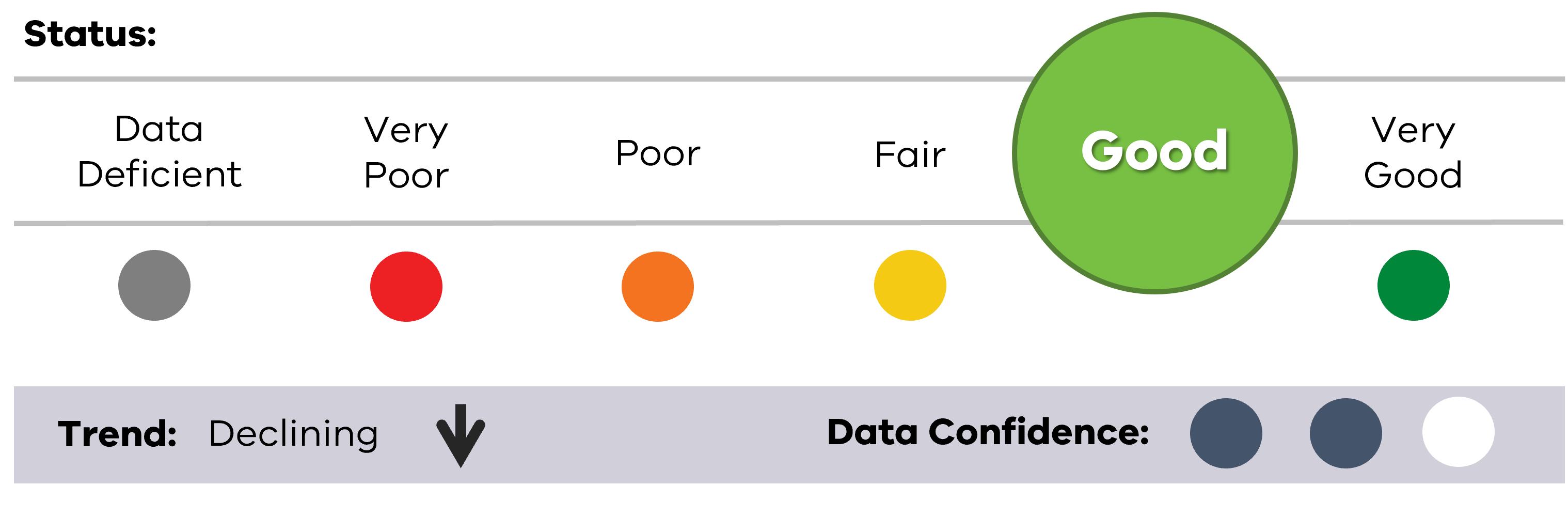 Image of status for Common Dolphin, showing Good result, declining trend and medium data confidence.