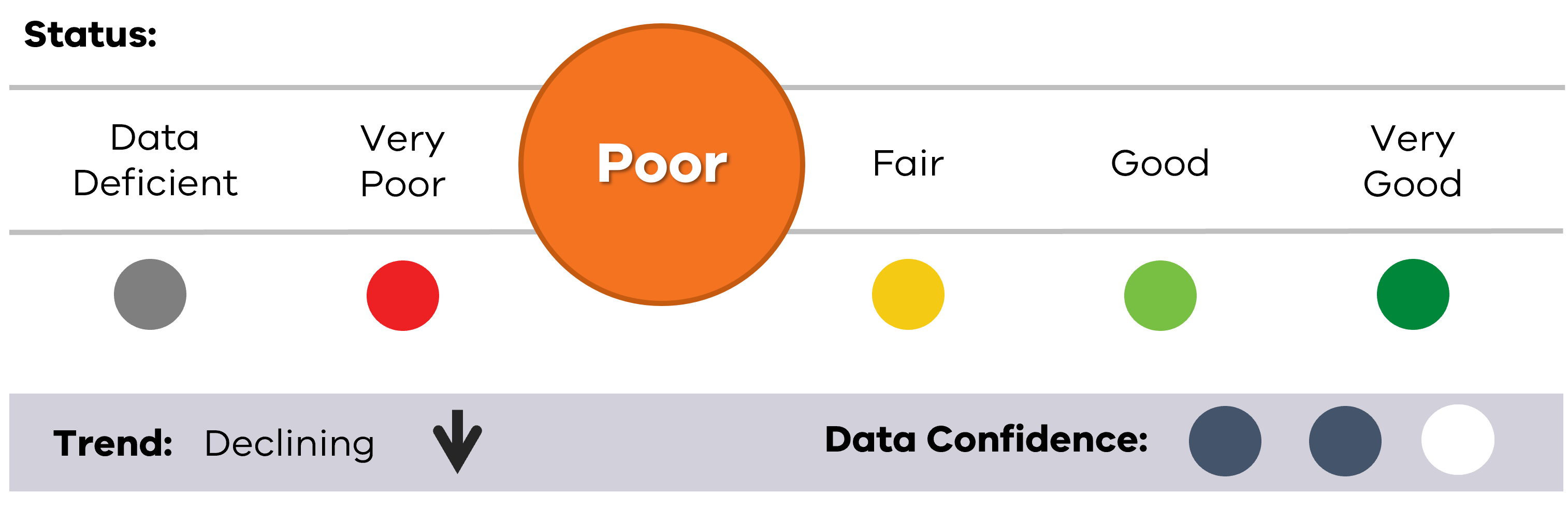 Image of status for Litter Index, showing Poor result, Declining trend and Medium data confidence.