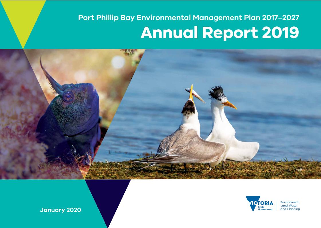 Image shows the cover of the annual report 2019 including images of marine life