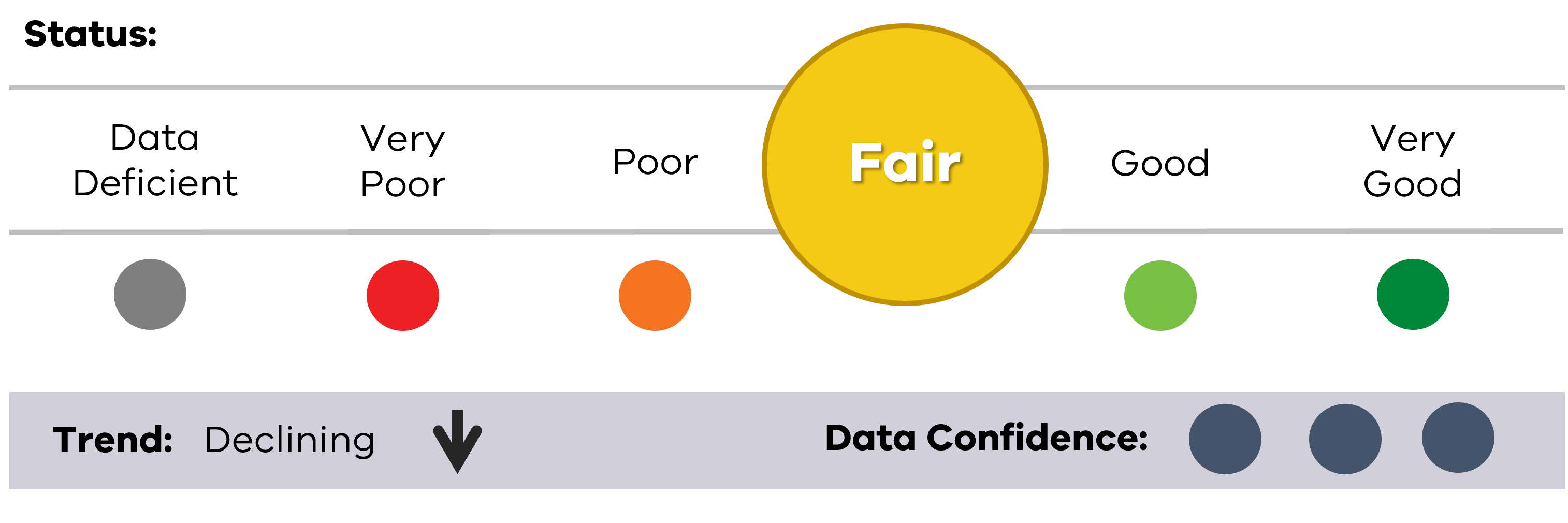 Image of status for all fish, showing Fair result, Declining trend and High data confidence.