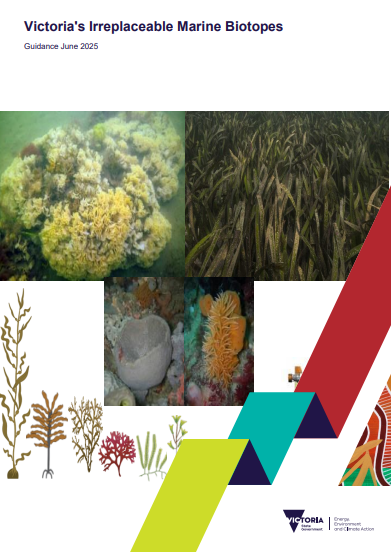Image of front page of Irreplaceable Marine Biotopes Guidance