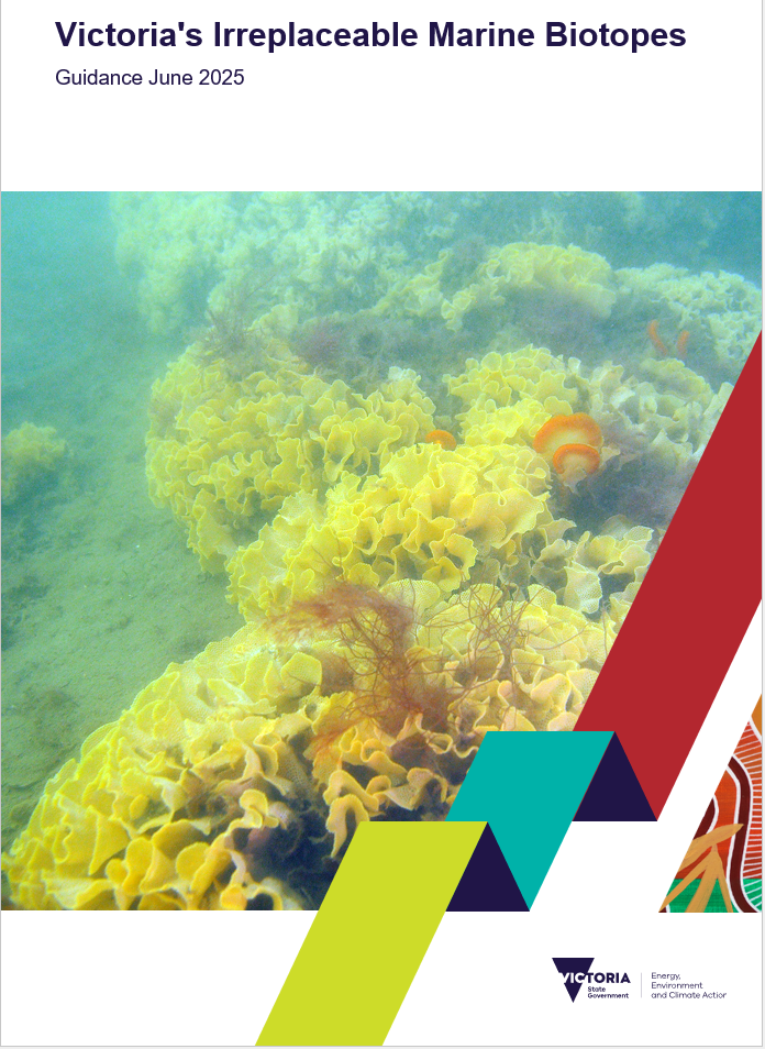 Image of front page of Irreplaceable Marine Biotopes Guidance