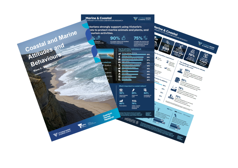 Cover of Wave 6 report