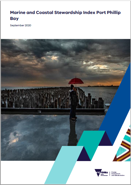 Image shows the cover of the Marine and Coastal Stewardship Index (MCSI)  document