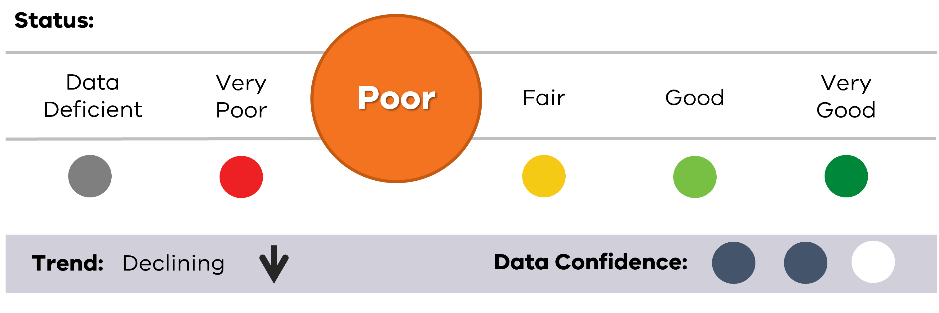 Image of status for Marine Mammals, showing Poor result, declining trend and medium data confidence.